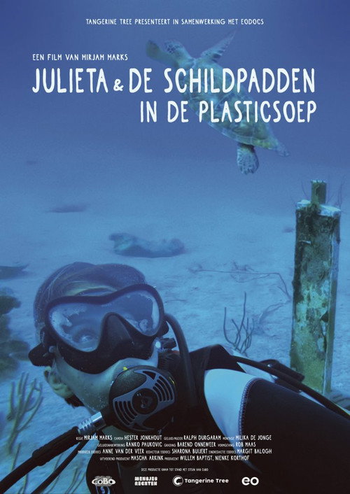 Movie poster for Julieta & the Turtles in the Plastic Soup