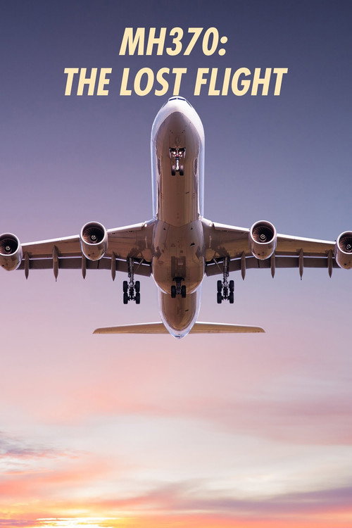 Series poster for MH370: The Lost Flight (2022)