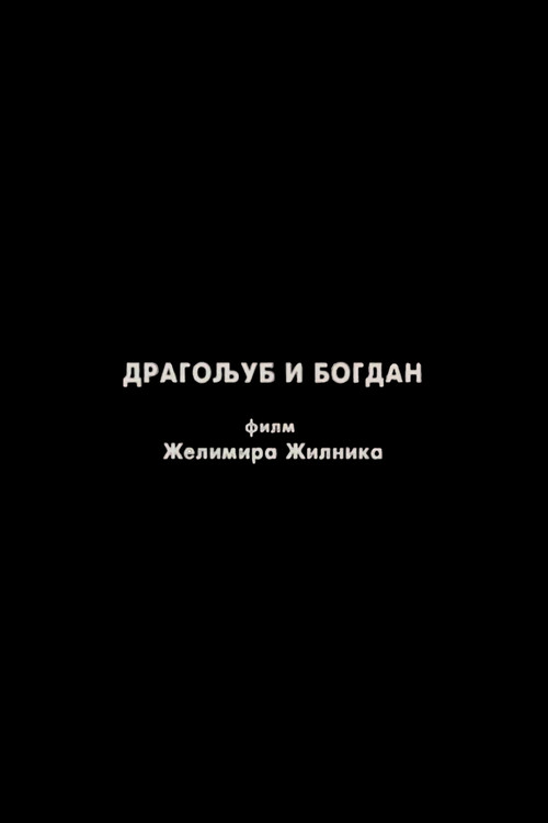 Movie poster for Dragoljub and Bogdan (1982)