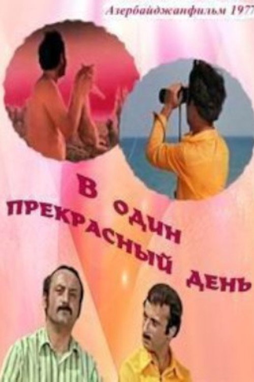 Movie poster for One Fine Day (1977)