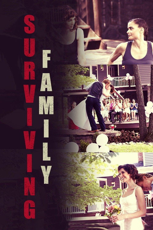 Movie poster for Surviving Family (2014)