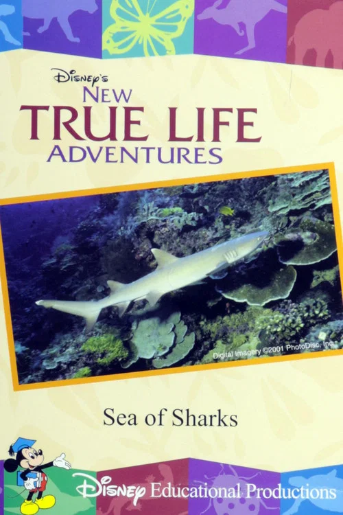 Movie poster for Sea of Sharks (2000)