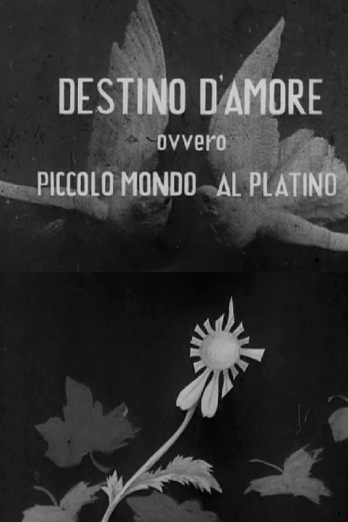 Movie poster for Destino d'amore, ovvero, piccolo mundo al platino (1942)
