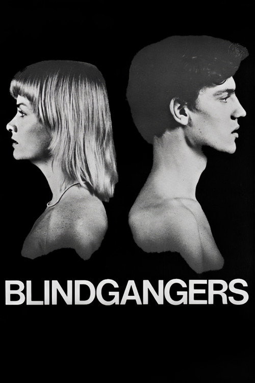 Movie poster for Blind Spot (1977)