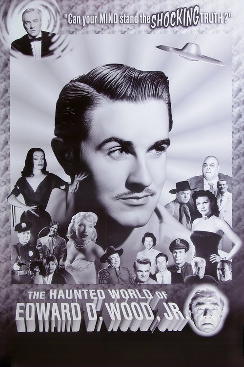 Movie poster for The Haunted World of Edward D. Wood, Jr. (1996)