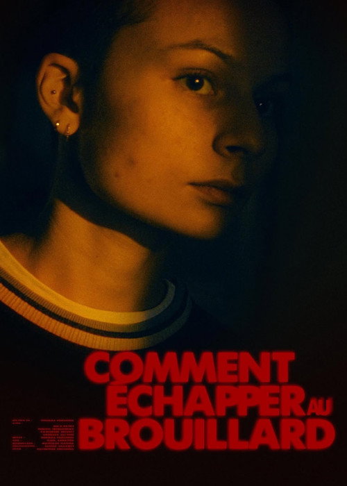 Movie poster for Comment échapper au brouillard (2024)
