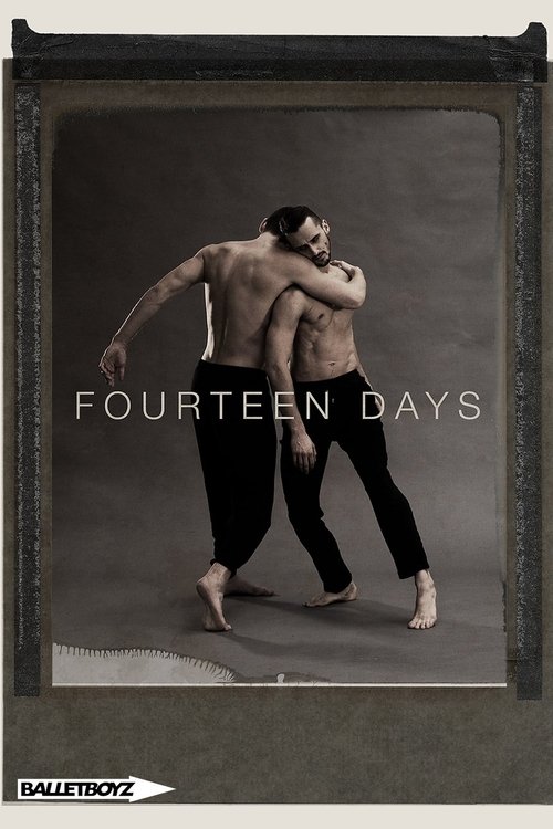 Movie poster for Fourteen Days (2017)