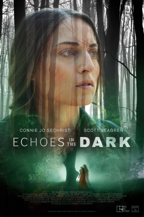 Movie poster for Echoes in the Dark (2024)