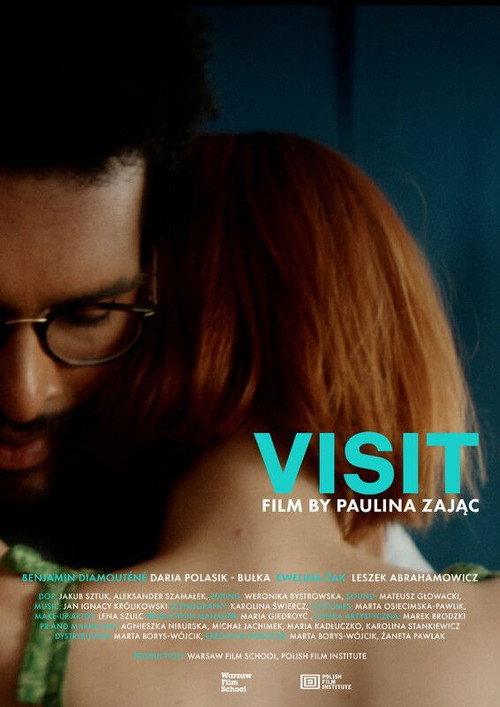 Movie poster for Visit (2024)