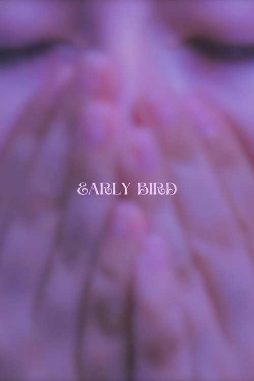 Movie poster for Early Bird (2018)