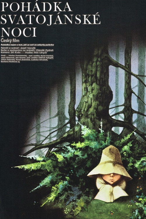 Movie poster for Pohádka svatojánské noci (1982)