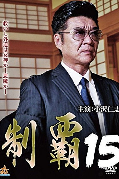 Movie poster for Conquest 15 (2018)
