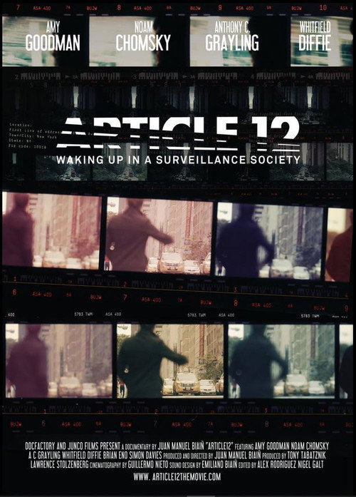 Movie poster for Article 12