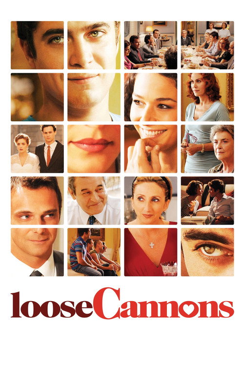 Movie poster for Loose Cannons (2010)