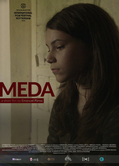 Movie poster for Meda (2016)