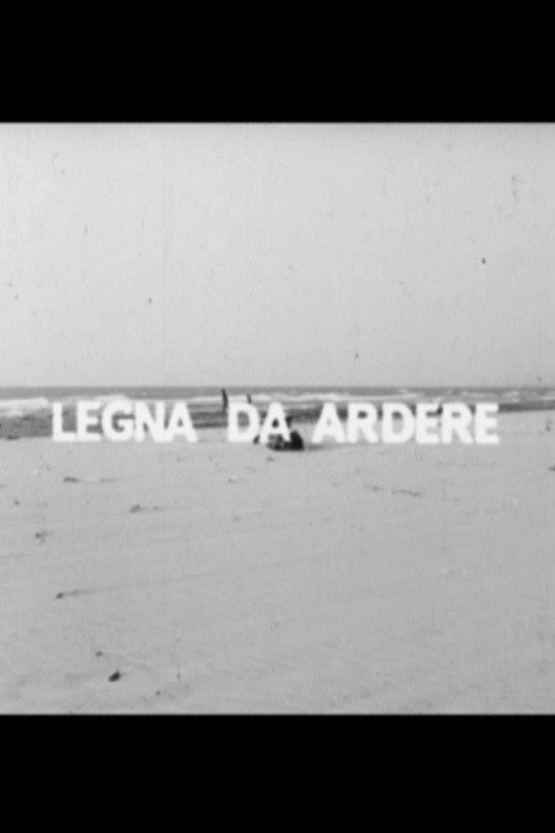 Movie poster for Legna da ardere (1969)