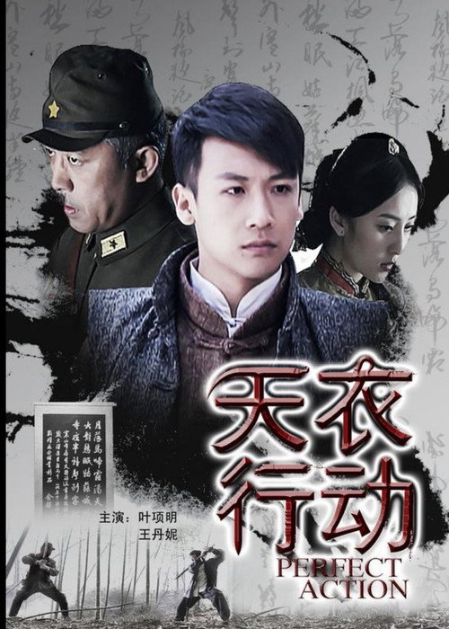 Movie poster for 天衣行动 (2011)