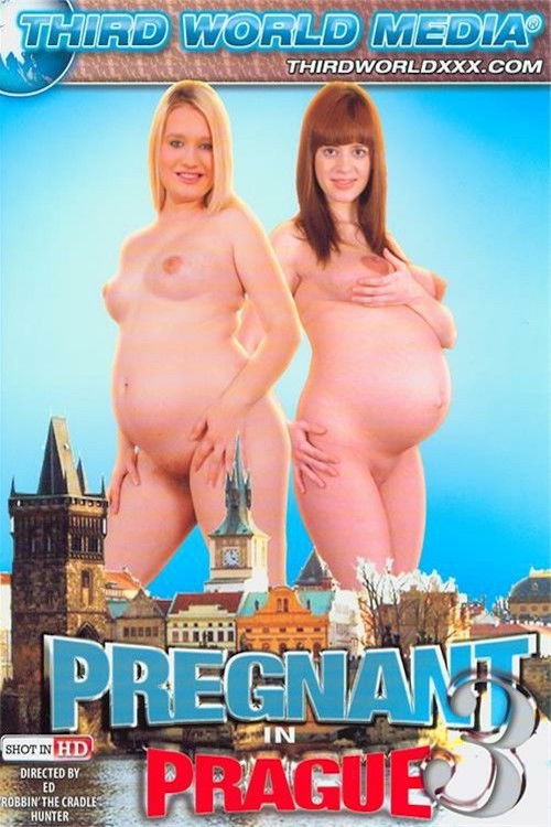 Movie poster for Pregnant In Prague 3 (2014)