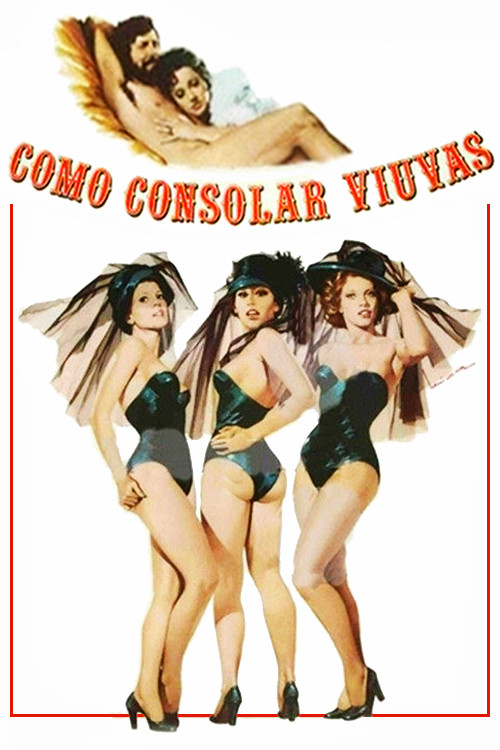 Movie poster for Consoling Widows (1976)