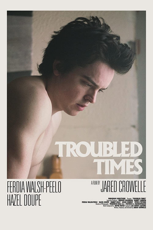 Movie poster for Troubled Times (2020)
