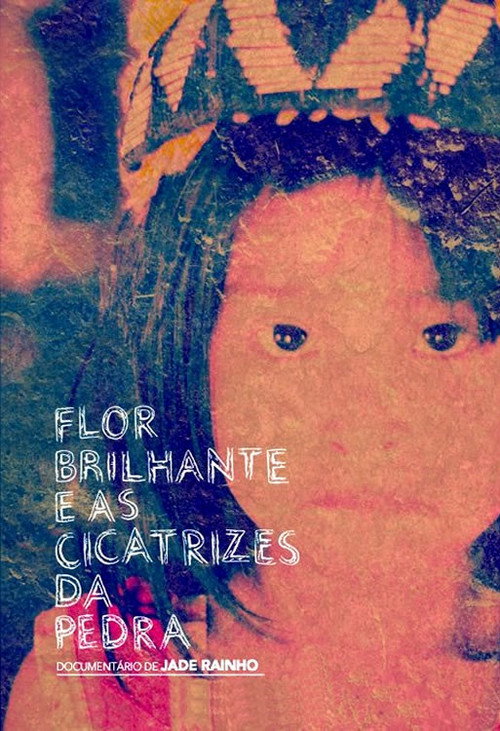 Movie poster for Flor Brilhante e as Cicatrizes da Pedra (2013)