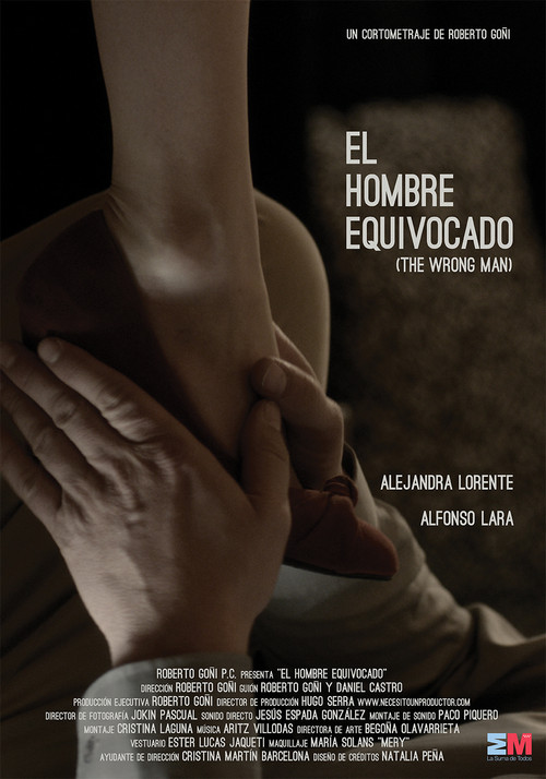 Movie poster for The Wrong Man (2013)