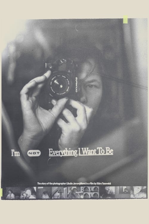 Movie poster for I'm Not Everything I Want to Be (2024)