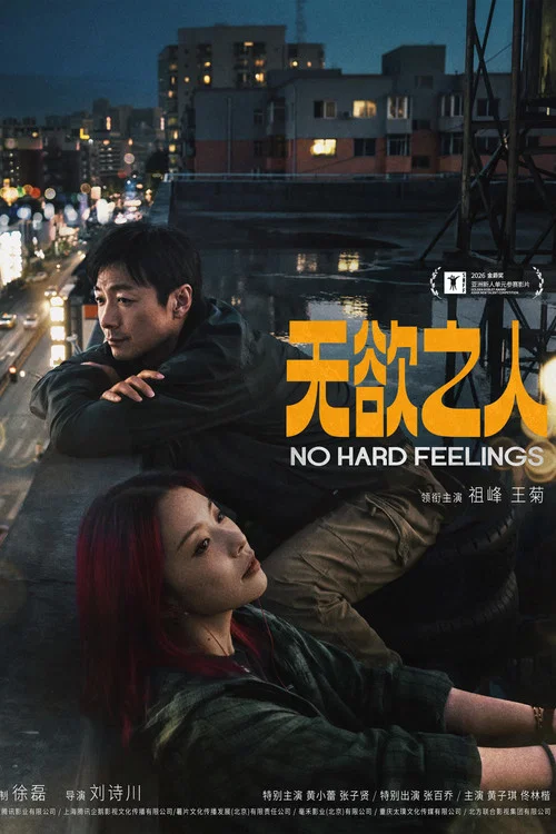 Movie poster for No Hard Feelings (2026)