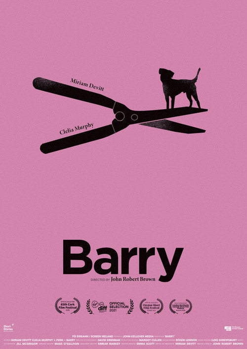 Movie poster for Barry (2021)