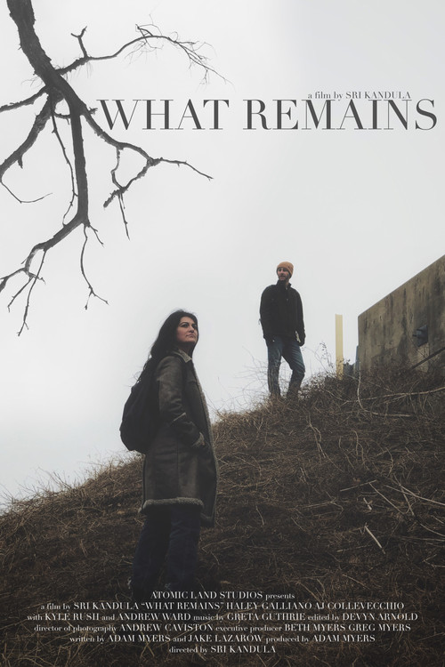 Movie poster for What Remains (2019)