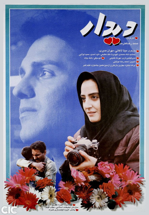 Movie poster for The Visit (1995)