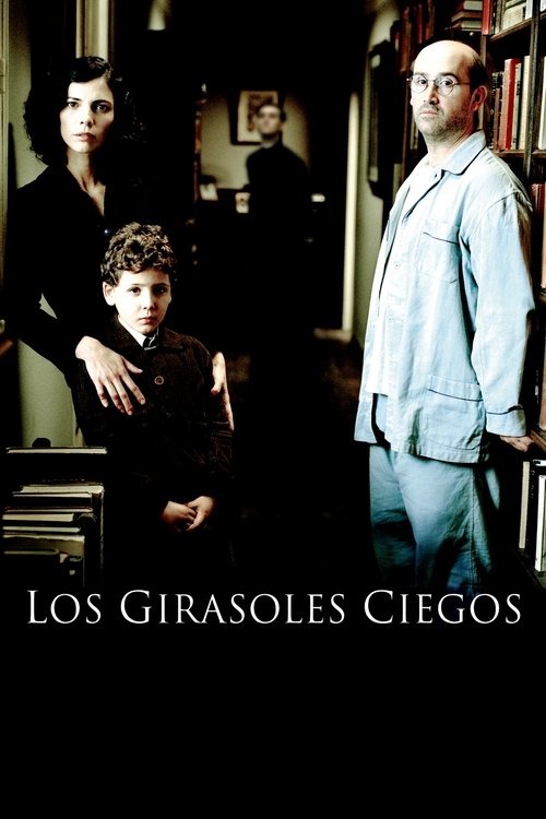 Movie poster for The Blind Sunflowers (2008)