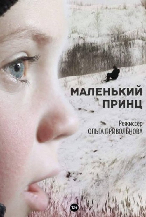 Movie poster for The Little Prince (2015)