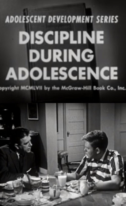 Discipline During Adolescence poster