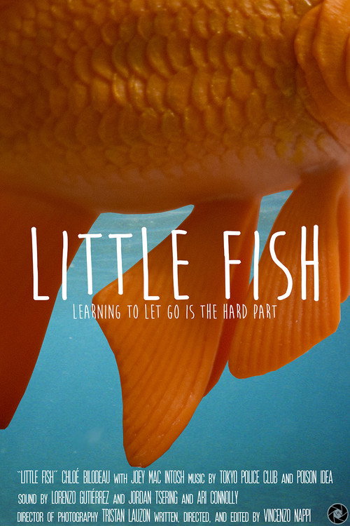 Movie poster for Little Fish (2017)