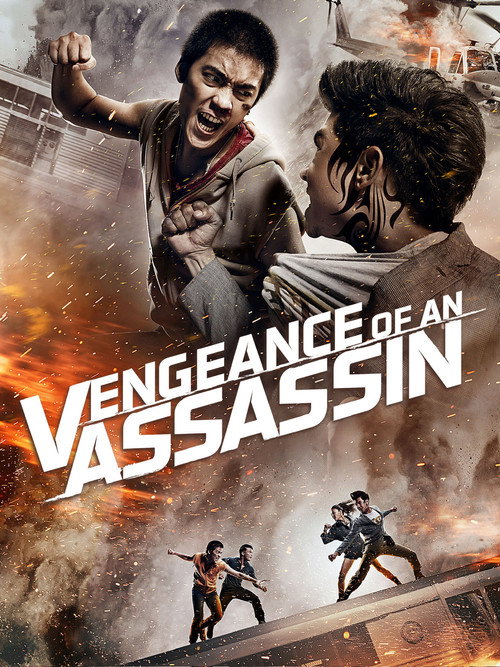 Movie poster for Vengeance of an Assassin (2014)