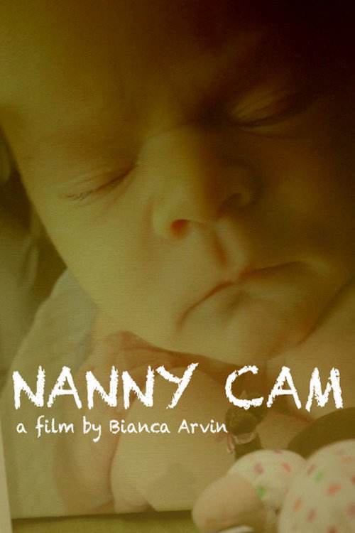 Movie poster for Nanny Cam (2017)