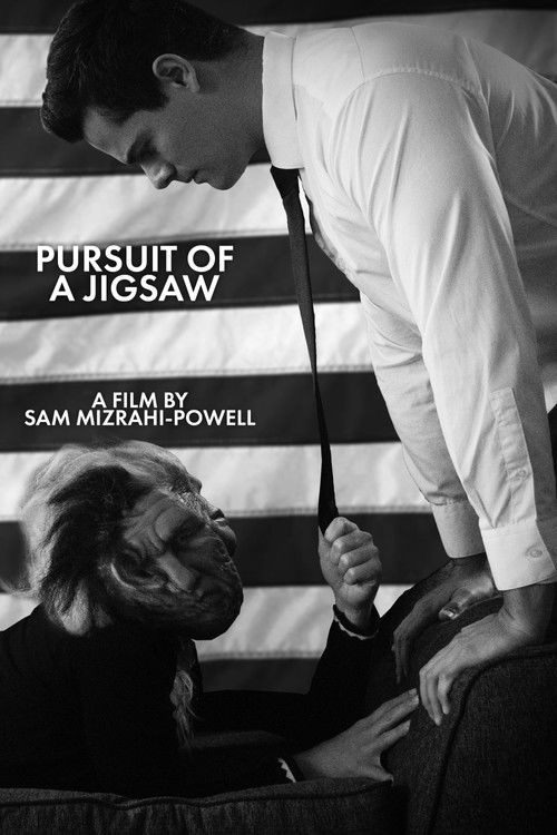 Movie poster for Pursuit Of A Jigsaw (2020)