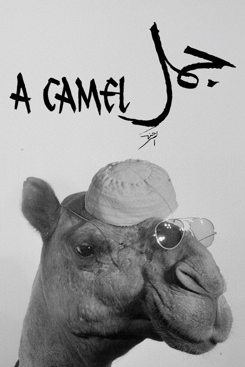 Movie poster for A Camel (1981)