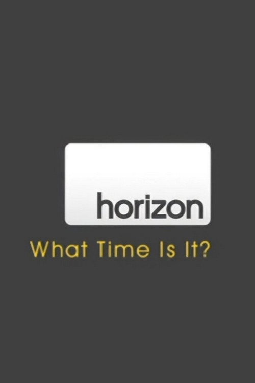 Movie poster for Do You Know What Time It Is? (2008)