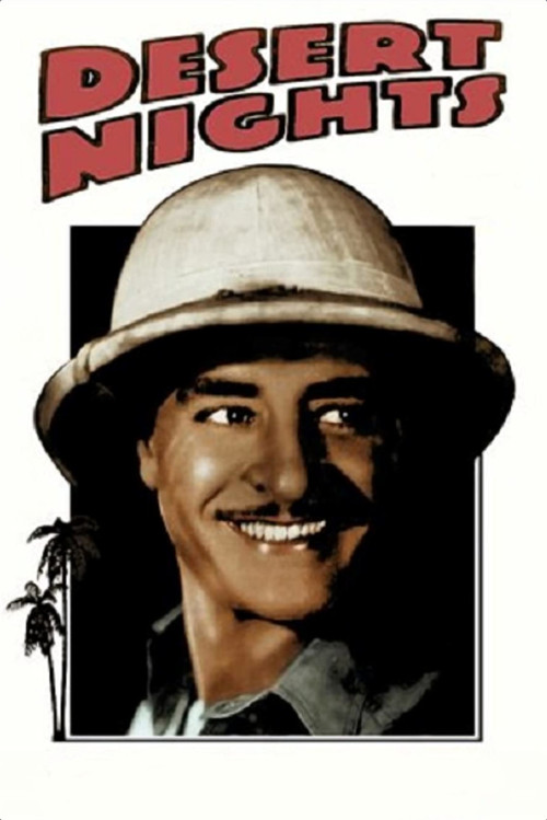Movie poster for Desert Nights (1929)