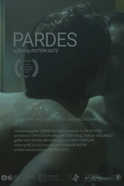 Movie poster for Pardes (2022)