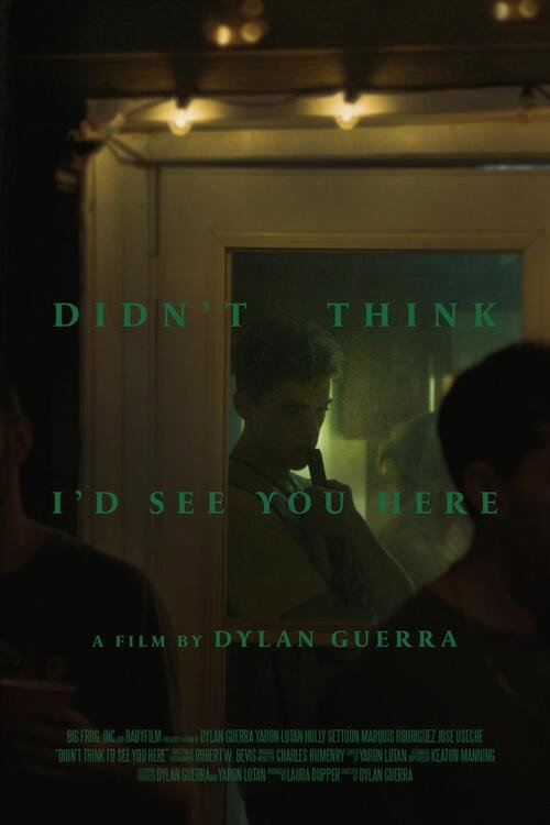 Movie poster for Didn't Think I'd See You Here (2023)