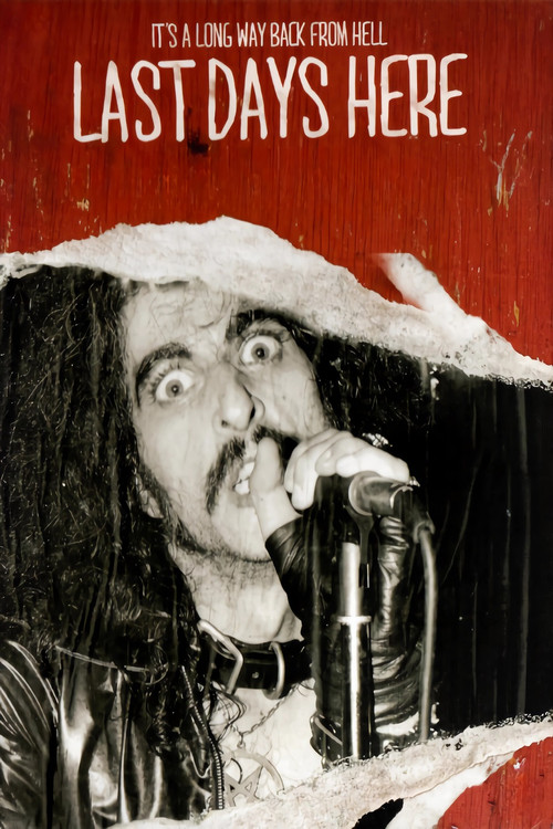Movie poster for Last Days Here (2011)