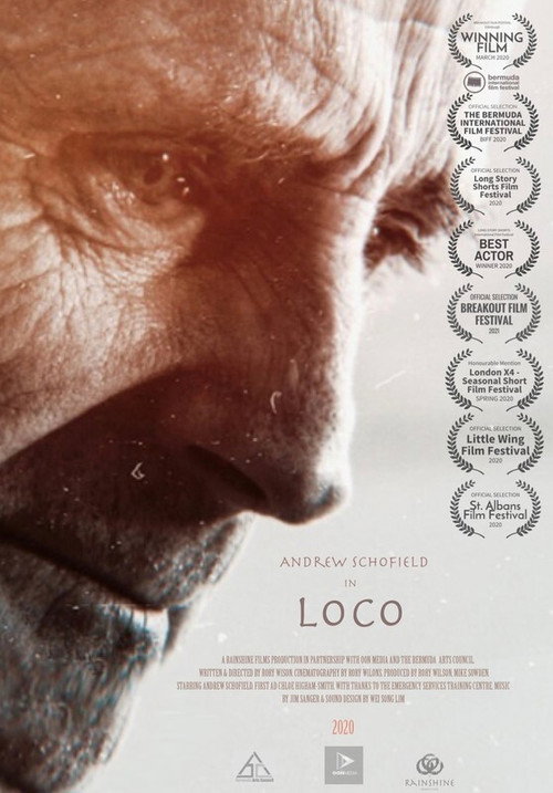 Movie poster for Loco (2020)