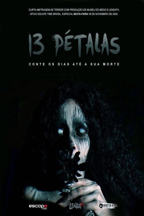 Movie poster for 13 Pétalas (2020)