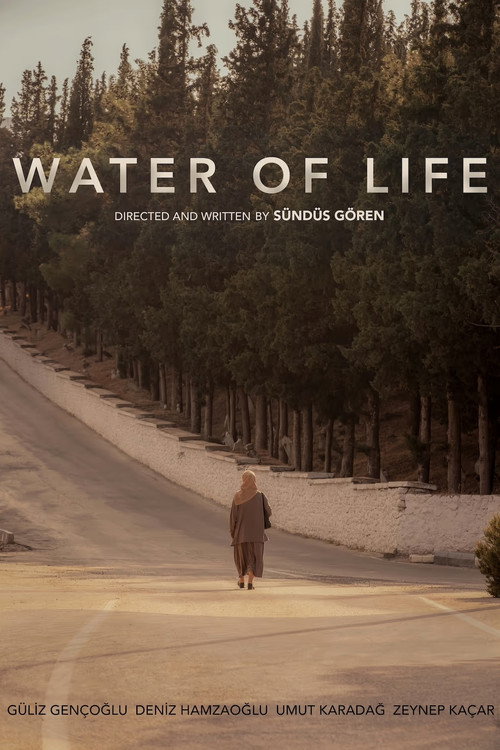 Movie poster for Water of Life (2023)