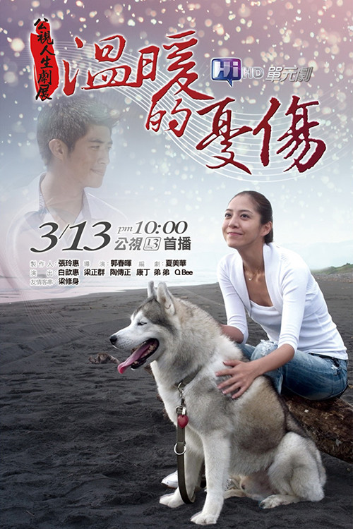 Movie poster for Wen Nuan De You Shang (2011)
