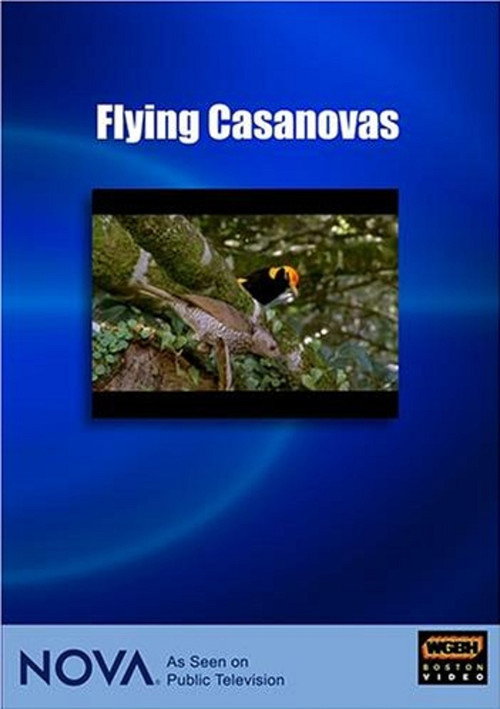 Series poster for Flying Casanovas