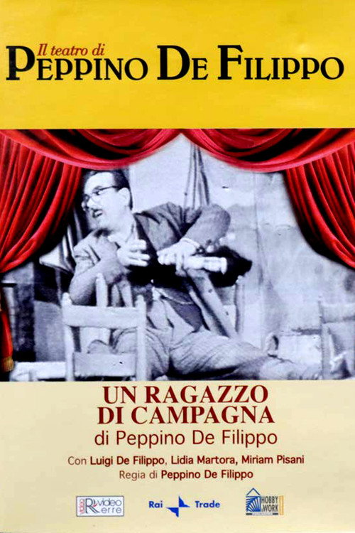 Movie poster for Un ragazzo di campagna (1959)